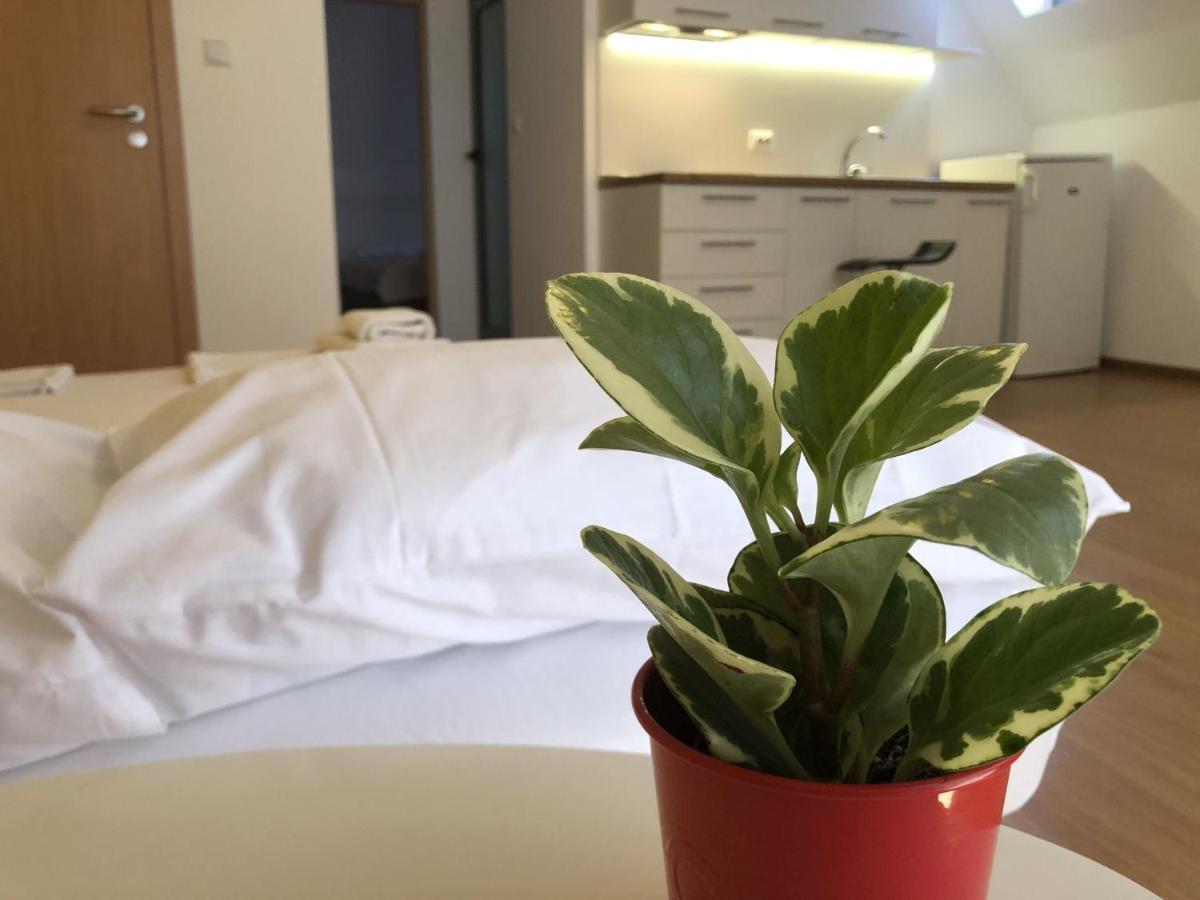 Aparthotel Elly Pomorie Ngoại thất bức ảnh